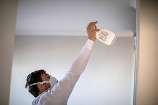 Best Mold Cleaning Services  in Federal Y, WA